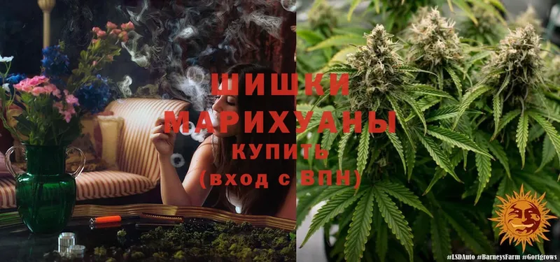 где продают наркотики  darknet Telegram  Бошки марихуана THC 21%  Дно 